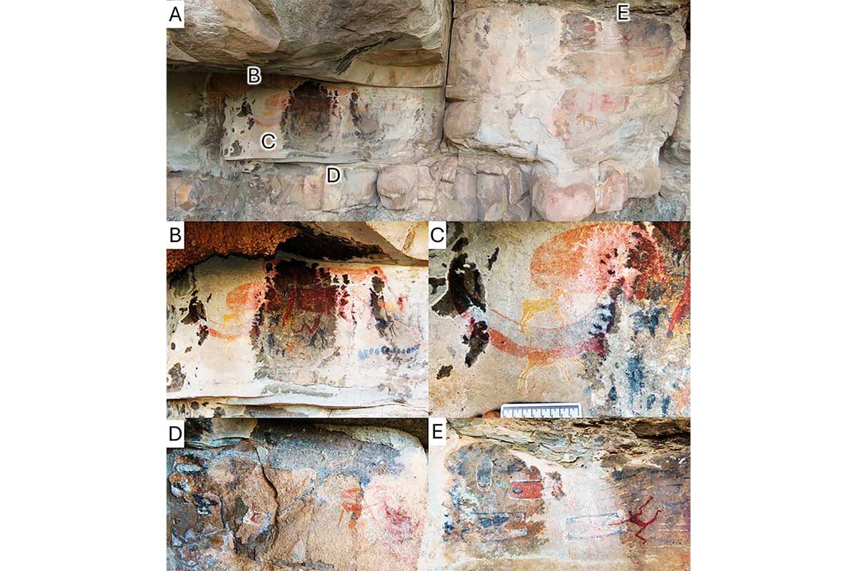 PLOS ONE.📷Панель «Рогатая змея» (часть каменной стены с рисунками в провинции Фри-Стейт, Южная Африка)