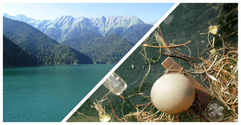    Фото: Wikipedia/ Вешта Денис, Общественное достояние; Wikipedia/Nienetwiler, CC BY 2.5 ch Анастасия Давыдова