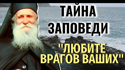 Как простить обидчика? Почему Господь завещал нам любить врагов? Фаддей Витовницкий