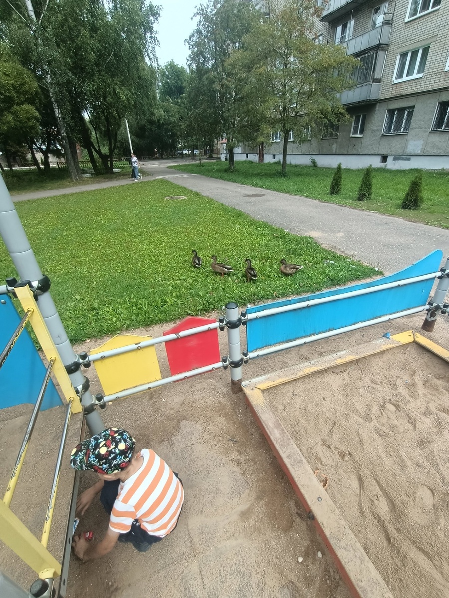 Песочницы обычно небольшие и много народу не поместится.