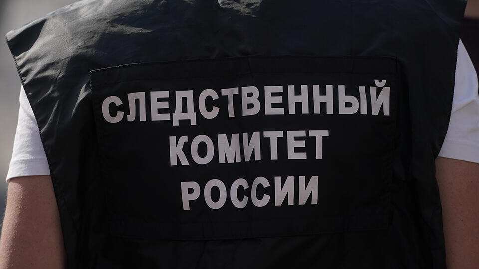 Фото: © ИЗВЕСТИЯ/Эдуард Корниенко