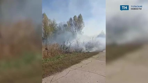 В Плавском районе Тульской области горит поле