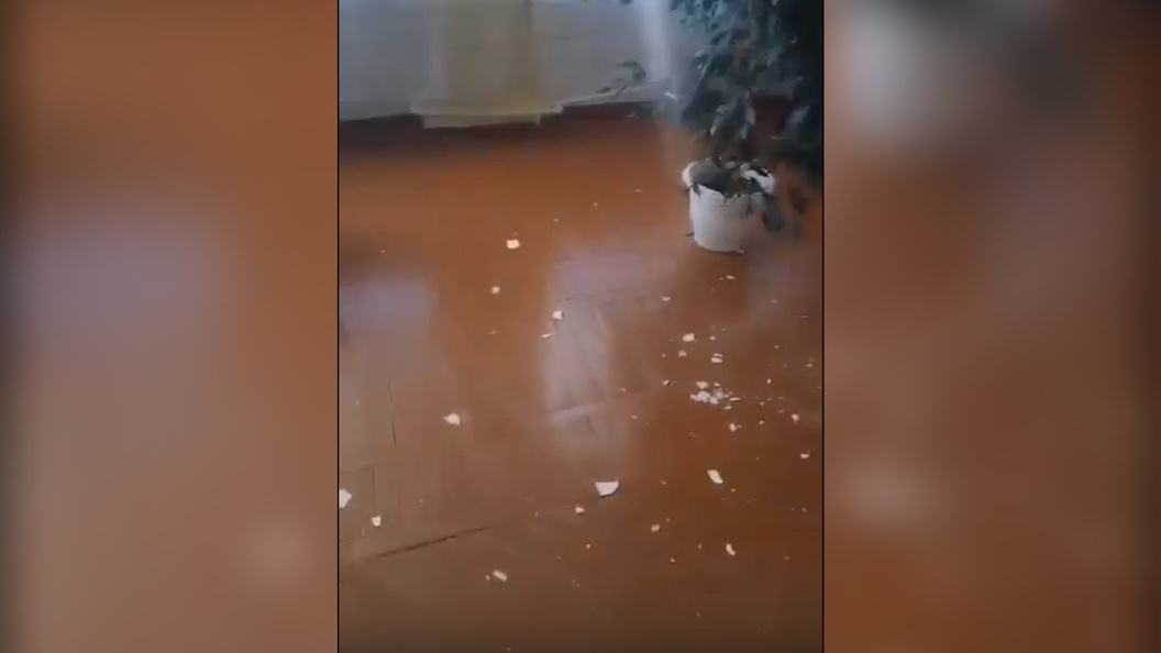    Фото: соцсети