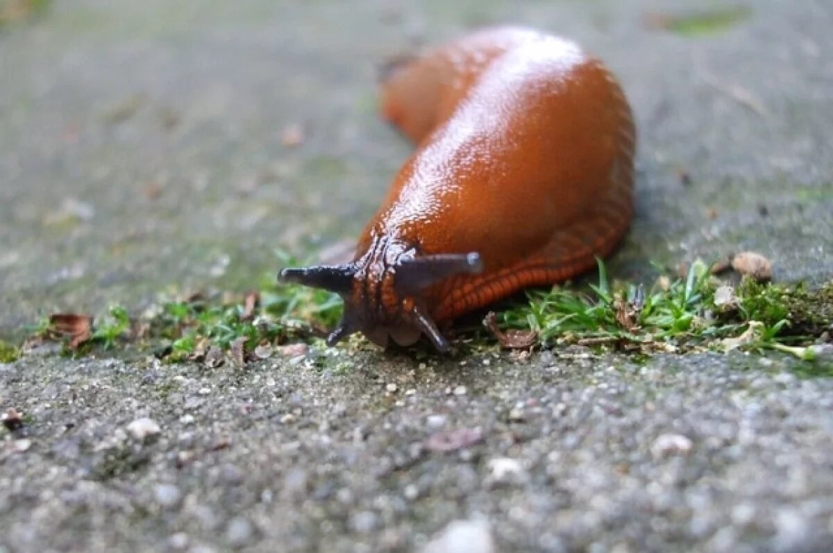    Лучшие препараты.