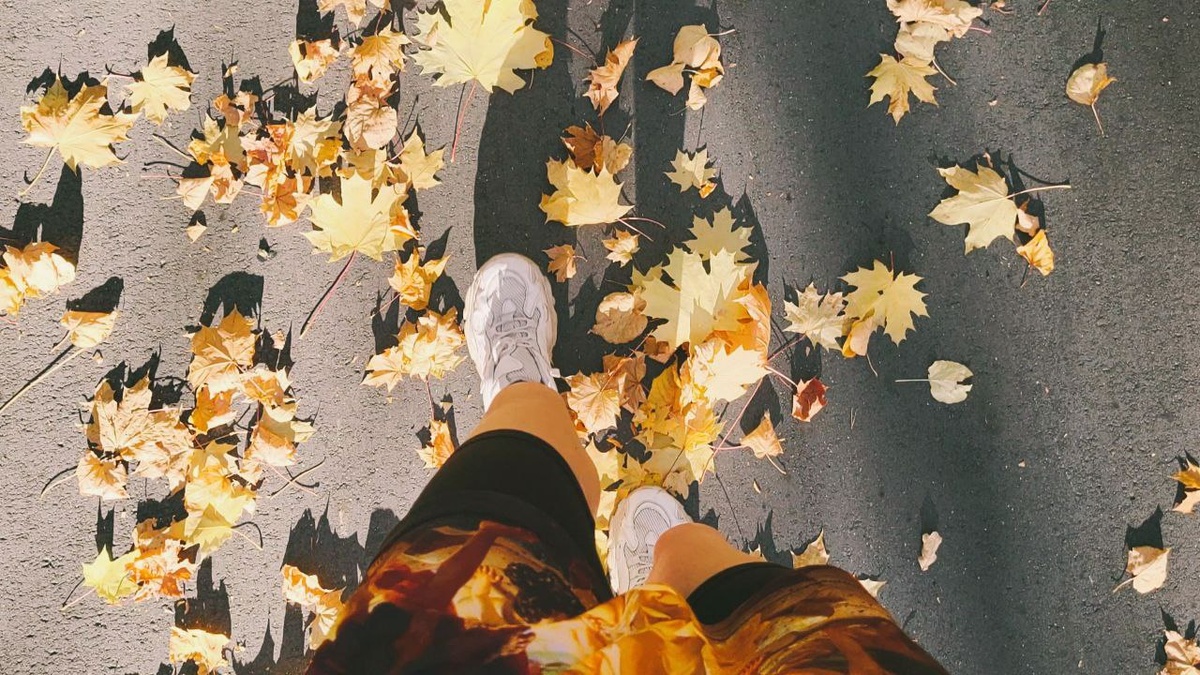 Нынче все иллюстрации будут с моего телефона с прошлого года. 