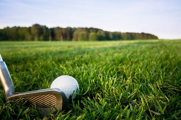    Фото: bedneyimages на Freepik