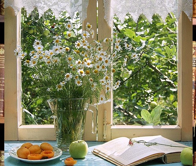 10 книг из русской литературы, которые должен прочитать каждый: la creme de la creme