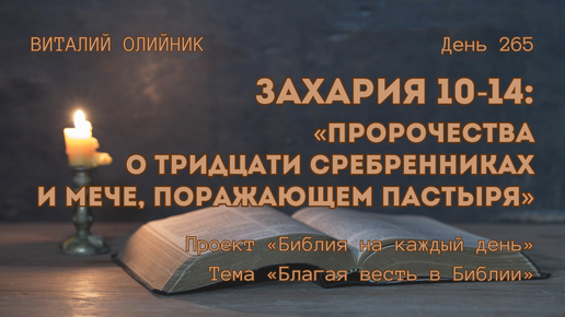 День 265. Захария 10-14: Пророчества о тридцати сребренниках и мече, поражающем пастыря | Библия на каждый день | Благая весть в Библии