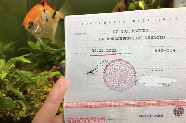 паспорт автора с фамилией, данной мне при рождении. После начала СВО решила сменить фамилию (после развода). Вернула себе суверенитет