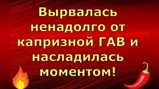 Лeна LIFE \ Лена и Ваня LIFE \ Вырвалась ненадолго от капризной ГАВ и насладилась моментом! \ Обзор