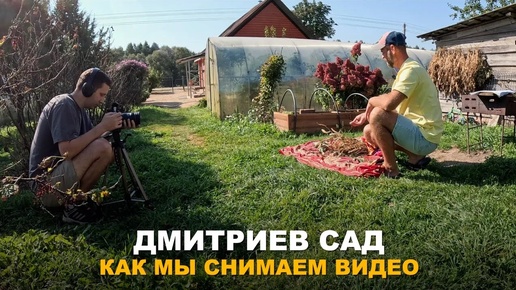 Как мы снимаем Дмитриев Сад.