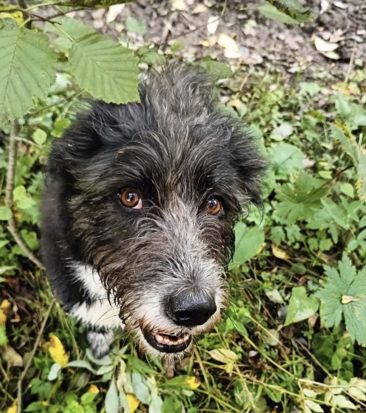 Привет!!! Из клана легендышей 