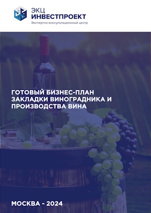 Готовый бизнес-план выращивания винограда (с фин. расчетами)