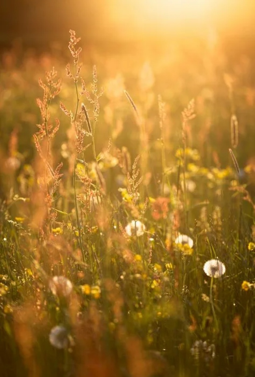 Похожее изображение из интернета 