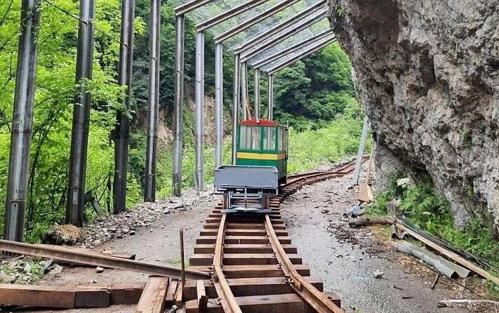    Фото: Telegram/Сочинский географ