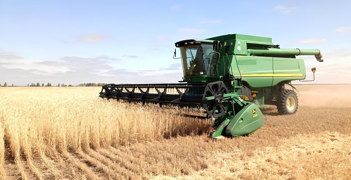 Фото: АПК Новости