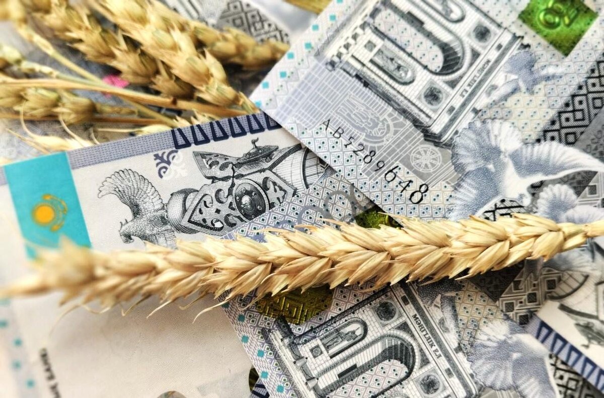 Фото: АПК Новости