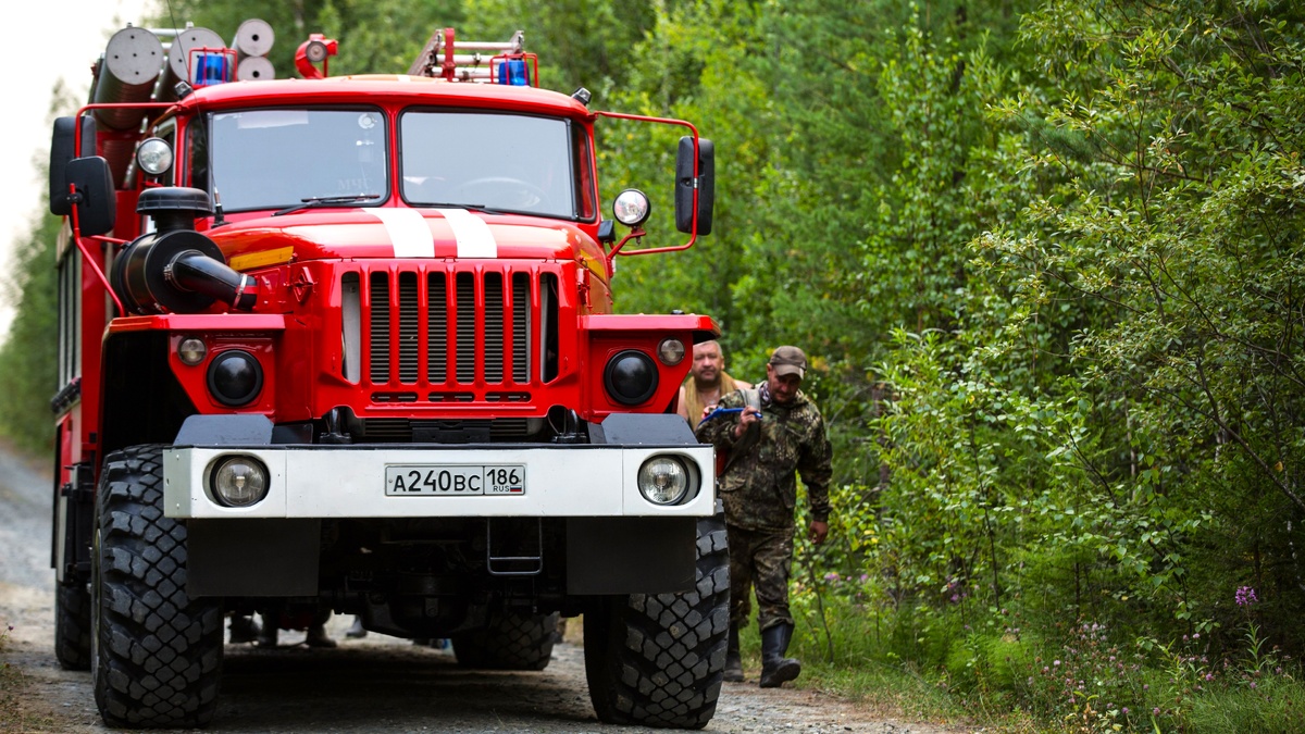   Хранители леса: как в этом году тушили югорскую тайгу