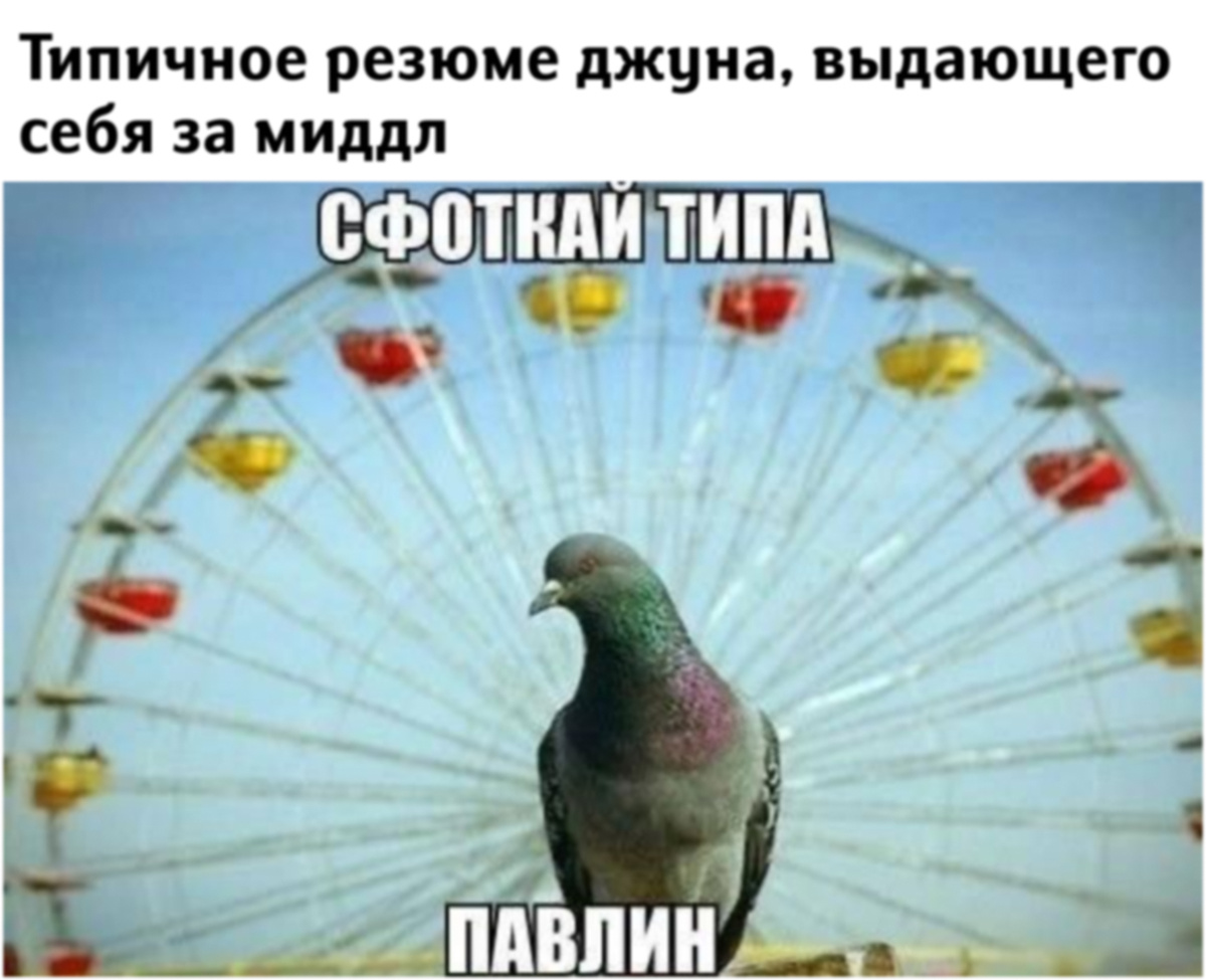 Путь к хорошему специалисту проходит через череду псевдопавлинов 