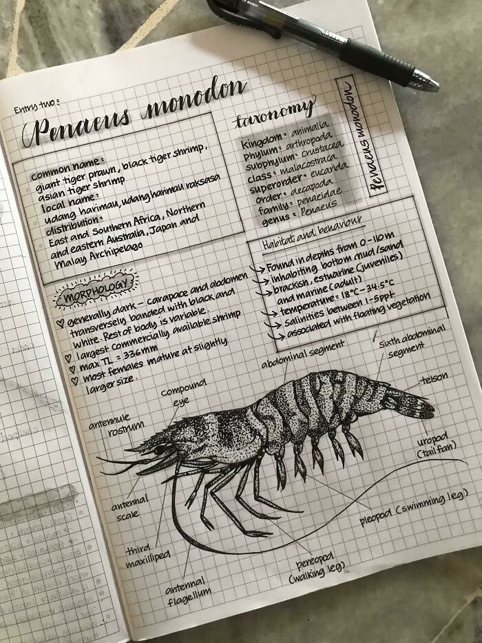 Ведение конспекта 
