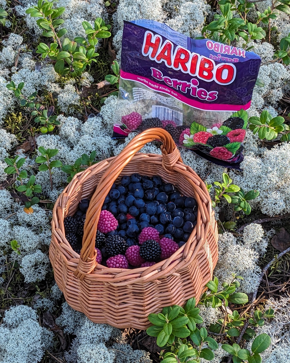 Розовые — малиновые, черные — ежевичные