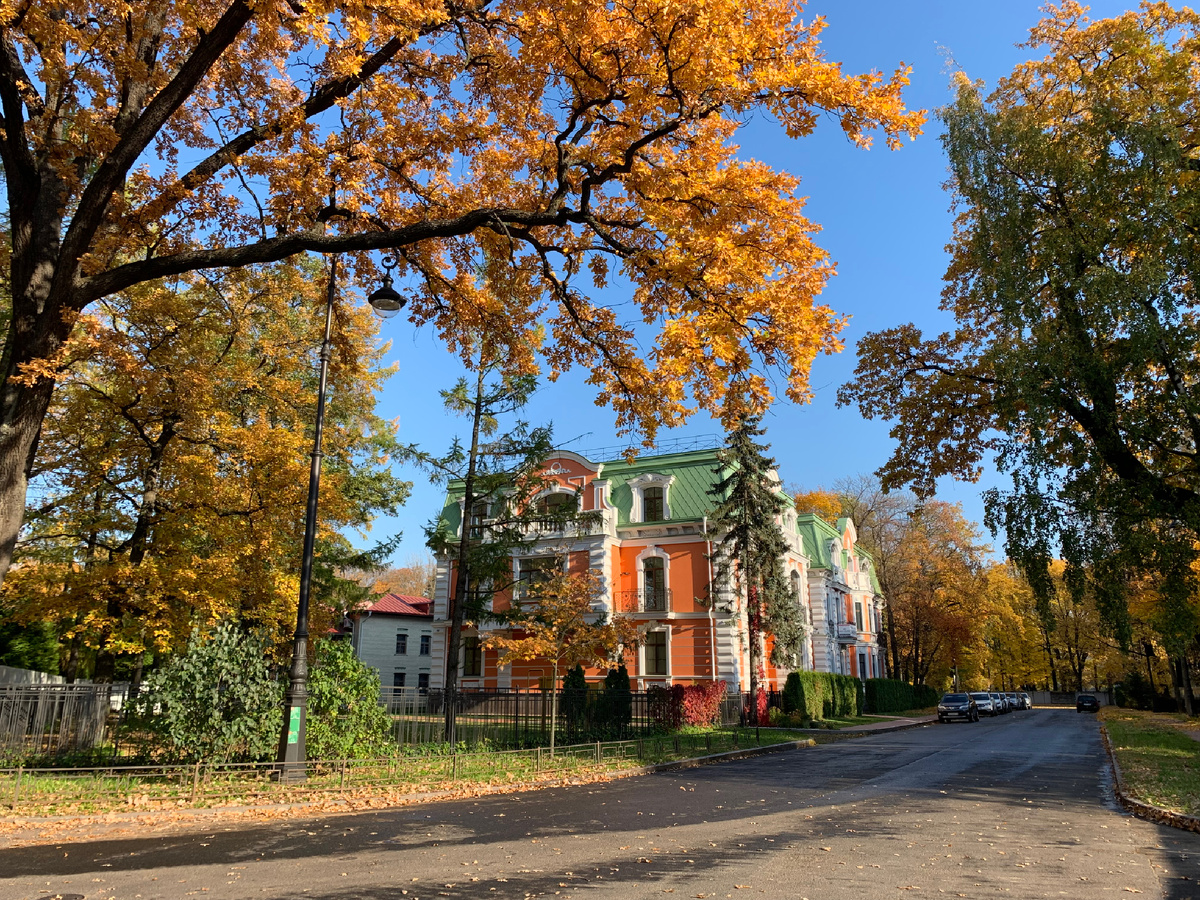 Личное фото автора 