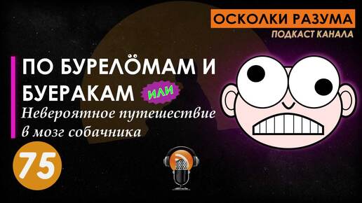 Выпуск 75. По буреломам и буеракам или невероятное путешествие в мозг собачника