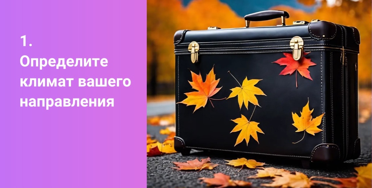 Определите климат вашего направления.