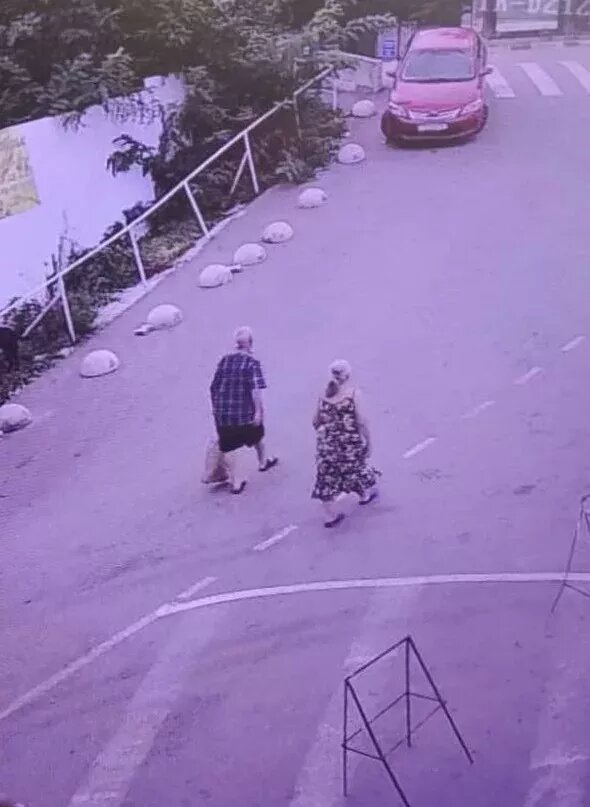 Скрин записи камеры наружного наблюдения, запечатлевшей уходящих в лес пенсионеров.