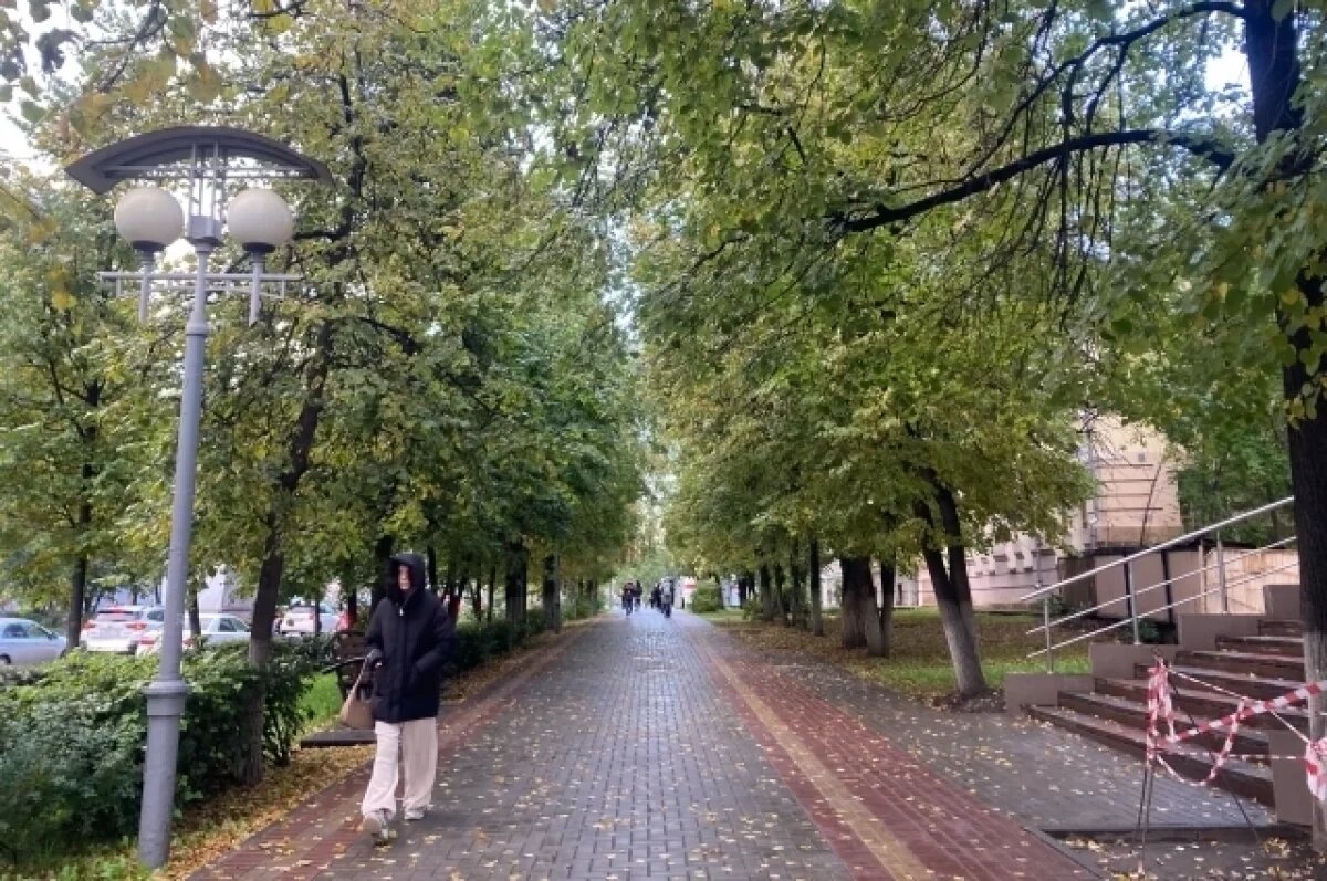    В Томске 20 сентября прошла первая осенняя санитарная пятница