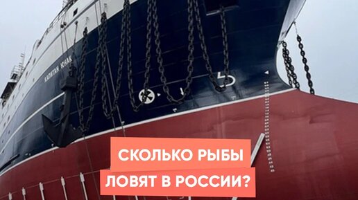 Сколько рыбы ловят в России?