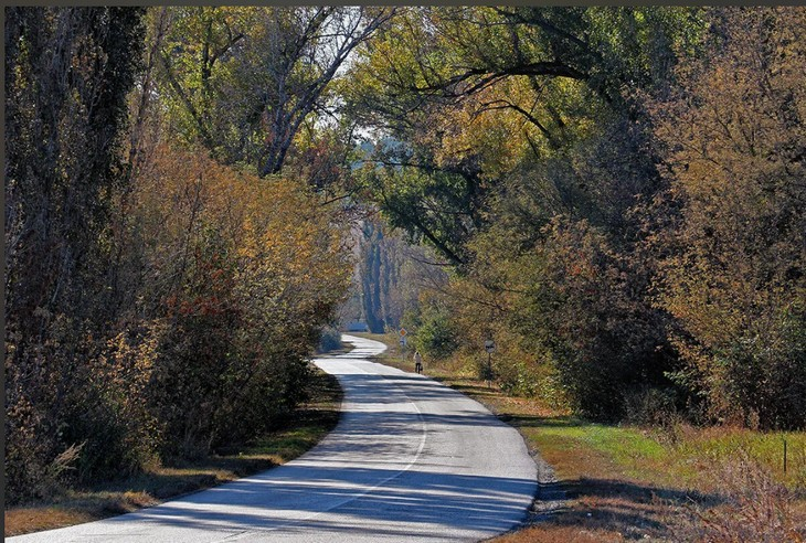 Фото Алексея Коверзнева