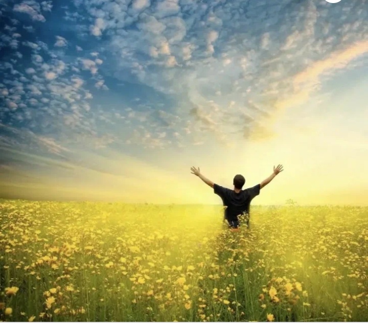 Источник фото : Яндекс картинки