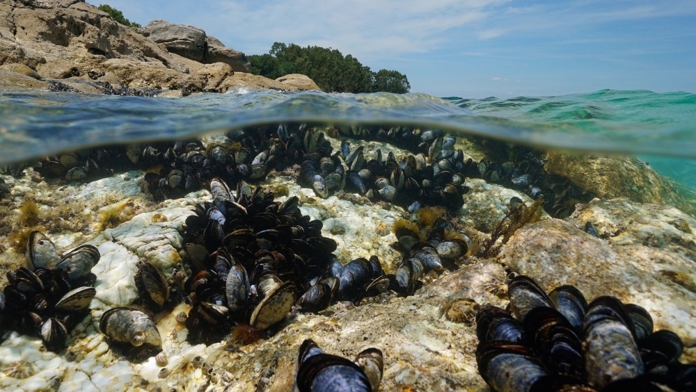    Фото: Shutterstock