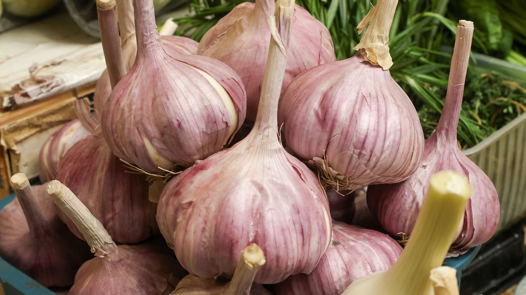    Petrov Sergey/Globallookpress