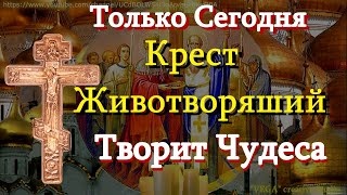 Télécharger la video: Молитва Воздвижению Честнаго и Животворящего Креста Господня Молитвы кресту одни из самых сильных