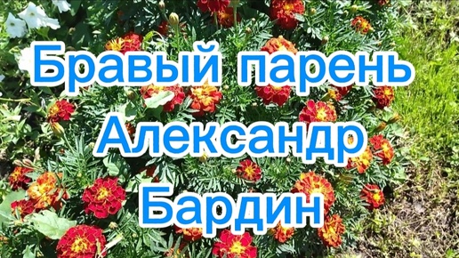 ✨Бравый парень из Мордовии Александр Бардин🎼Бравый парень