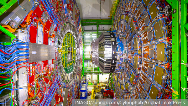     Фото: IMAGO/Zoonar.com/Cylonphoto/Global Look Press   
 Текст: Алексей Дегтярев