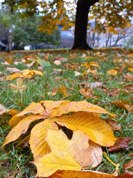 Осень - время заняться собой 🍁