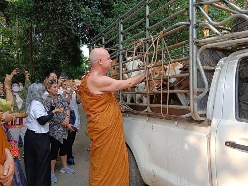 Создать карусельДобавьте описание