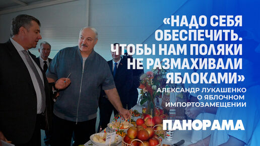 Лукашенко: нам надо, чтобы перестали кланяться импортному яблоку. Панорама