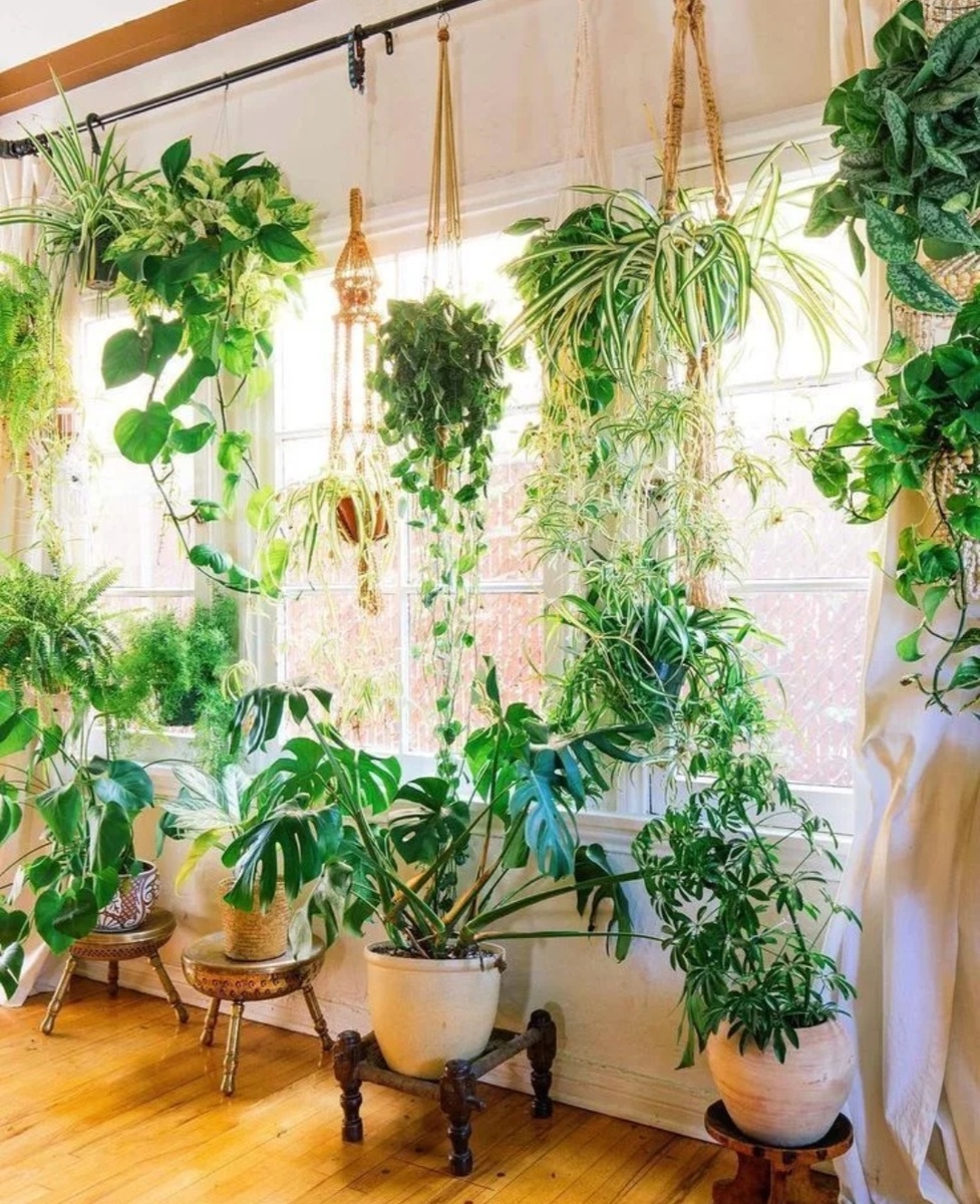 Это слишком. Ужасно. 