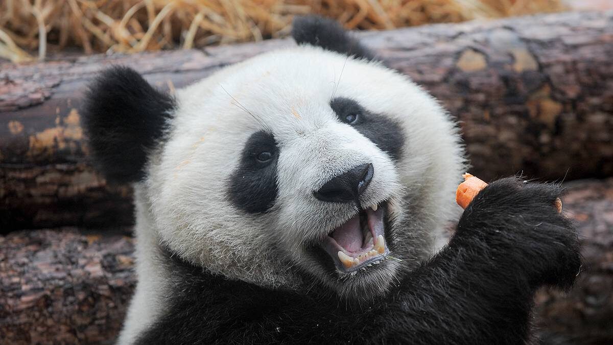    Фото: Александр Авилов / АГН Москва