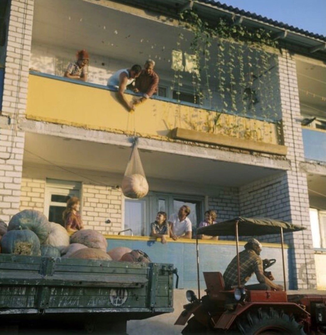 1976 - Краснодарский край - Станица Тбилисская - Подъем большой тыквы на второй этаж