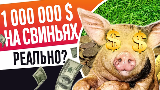 БИЗНЕС НА СВИНЬЯХ! Как работает свинокомплекс! Как живут свиньи на ферме. Выгодно ли держать свиней дома?