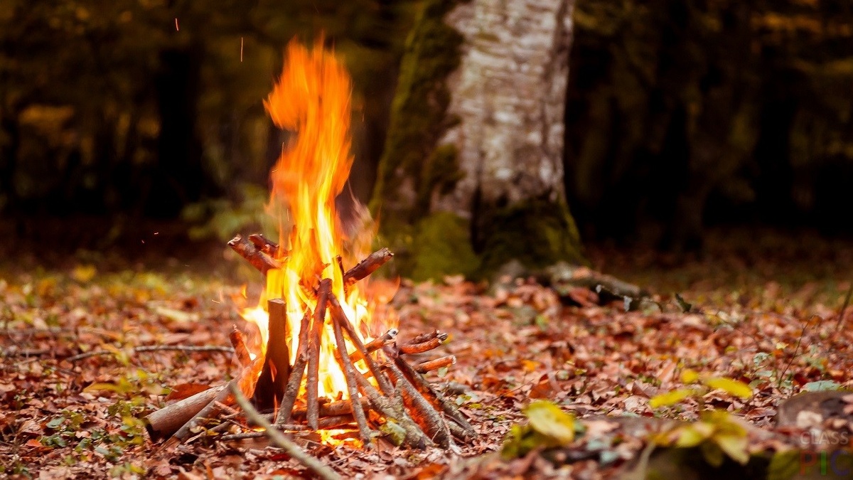 ����, ��� �����, ����� ���� ��� � ���� �� ���� �������� ������������� (22 ��������) ����� ���������� �� ��� � ������. ������� ���������, ��� ��� �������.