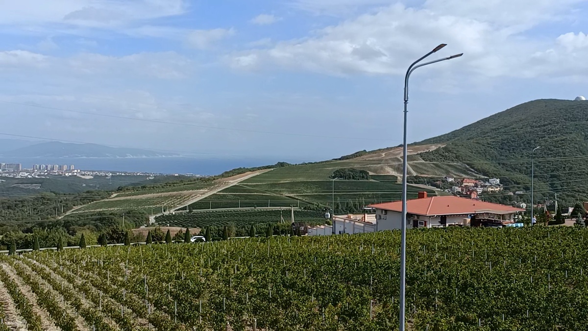 Красота и чистейший воздух 👍👍👍