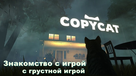 Copycat. Знакомство с игрой.