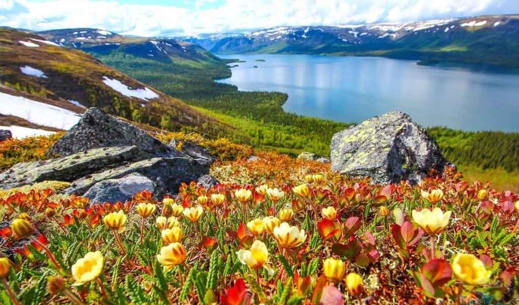 Севера. Красота Кольского полуострова. Как тут не влюбиться в Север