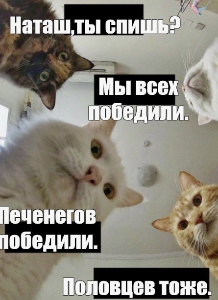 Из Яндекс картинок
